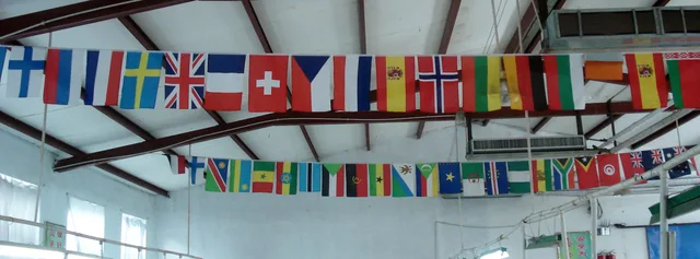 Bunting-1