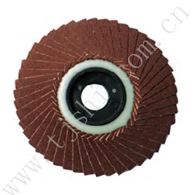 Flap disc