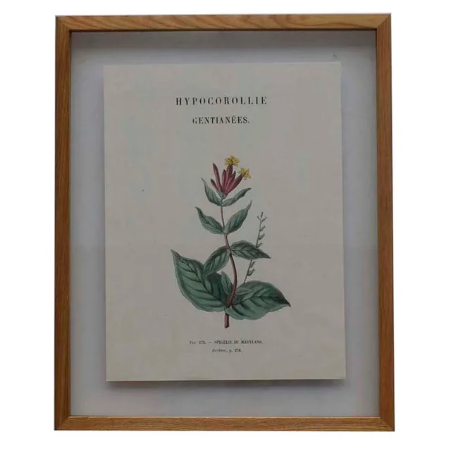 Natural oak frame with picture P610