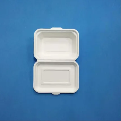 600ml hinged lid container