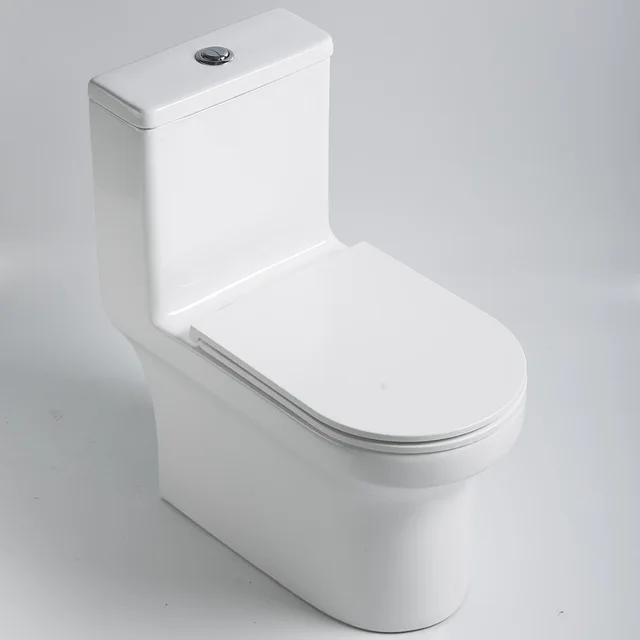 Rimless One Piece Toilet