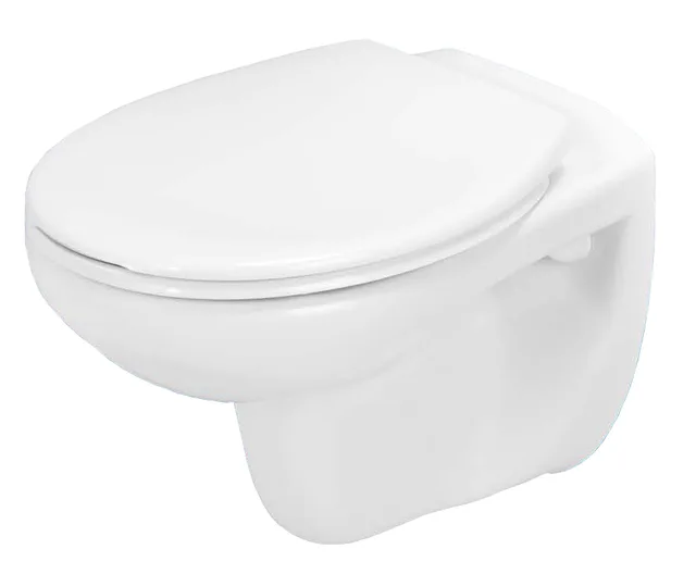 Wall hung toilet