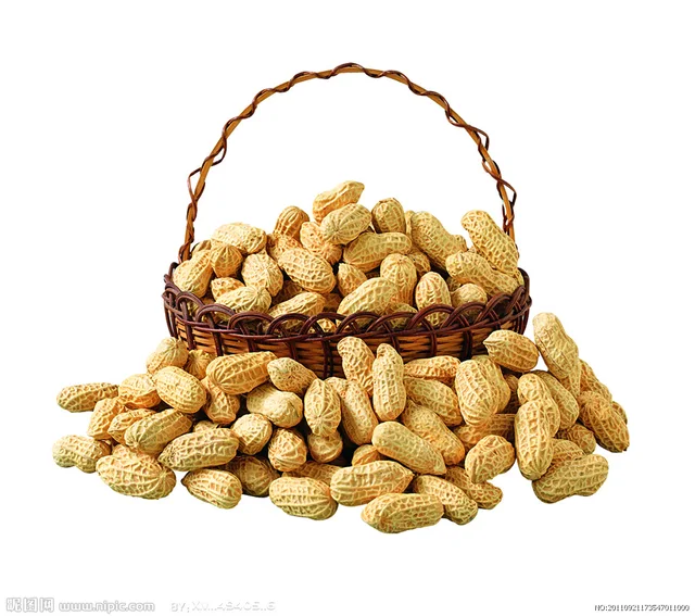 Peanut