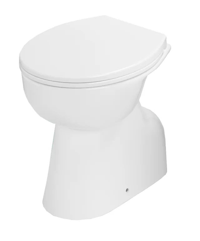 Toilet bowl