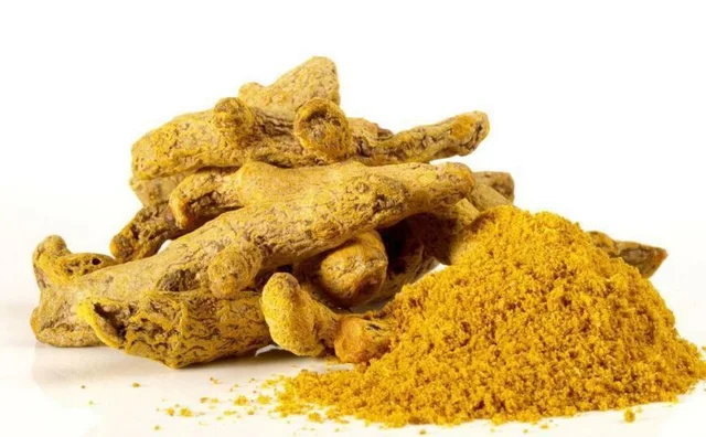 Rhizome of Common Turmeric