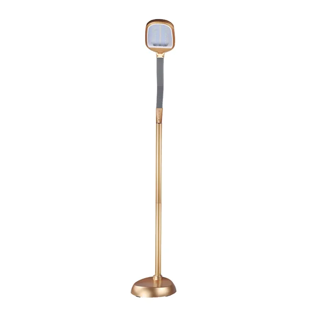 Classical Led Floor Lamp