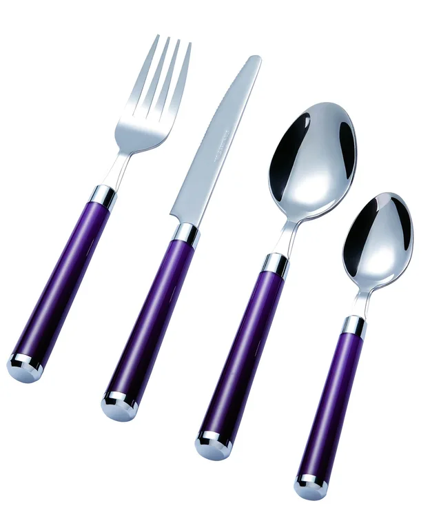 Stainless Steel Cutlery Set with Plastic Handle