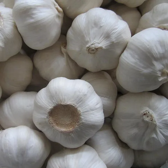 Pure White Garlic