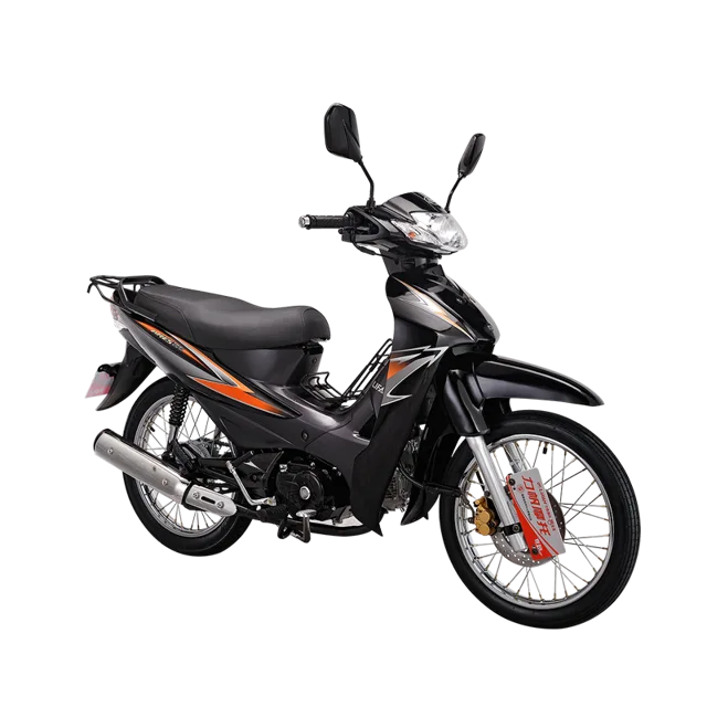 ARES 110 (LIFAN Cub Motorcycle)