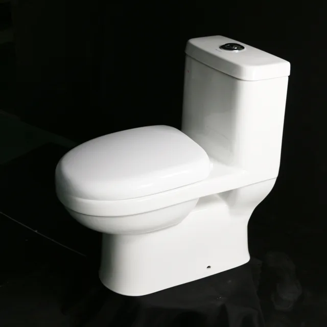 Sanitaryware ceramic ceramic washdown 220mm one piece toilet