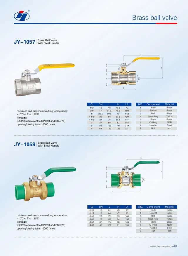 Valve/Ball Valve