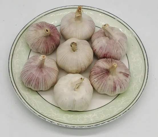 China ZLM Brand Fresh Garlic Normal White Garlic Pure White Garlic