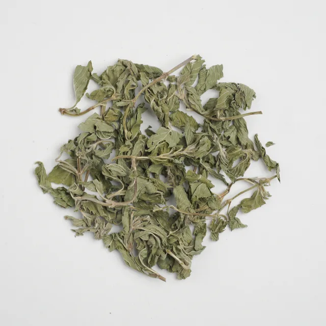 Herba Menthae