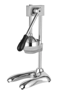 Stainless steel fruit juicer