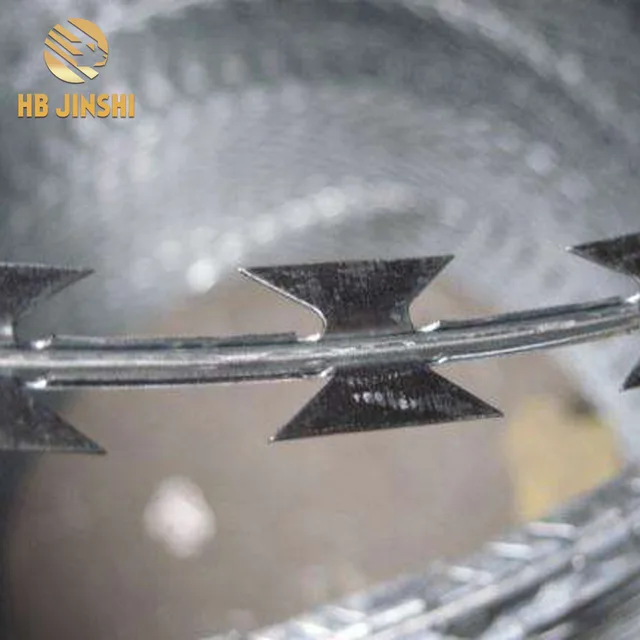 Sharp razor barbed wire fencing