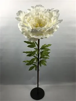 Peony
