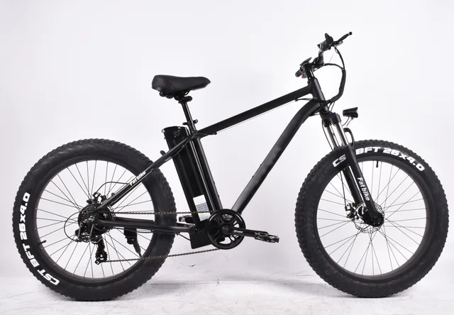 Electric bicycle