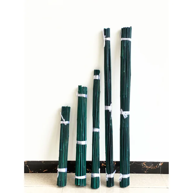 Green Bamboo Stick