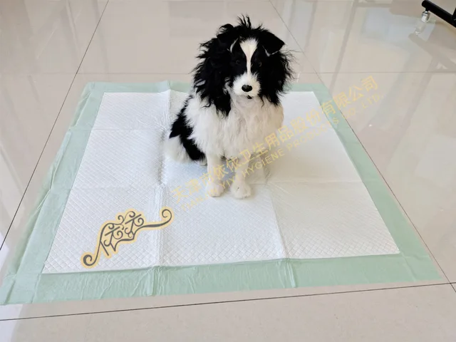 28“x30” Training Pad for US