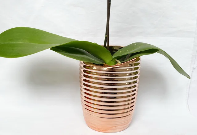 Dolomite Flowerpot