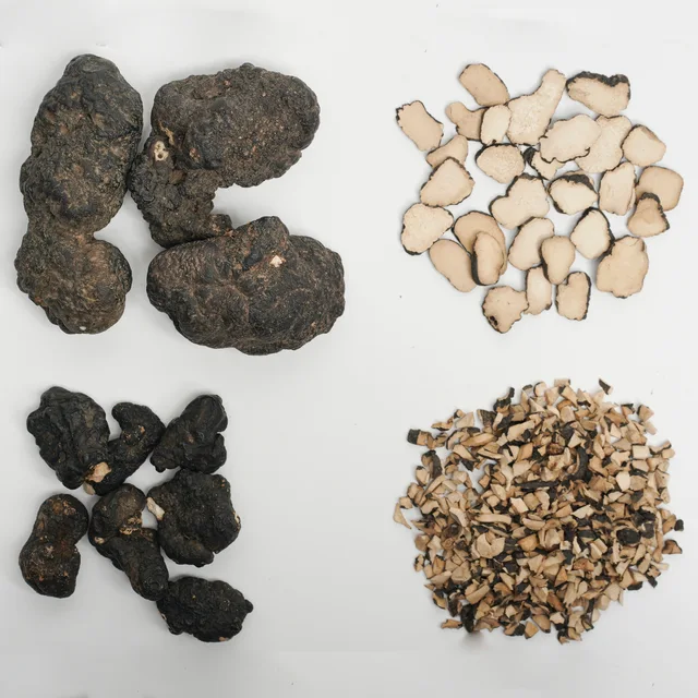 Polyporus
