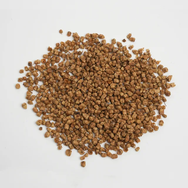 Flos Chrysanthemi Indici