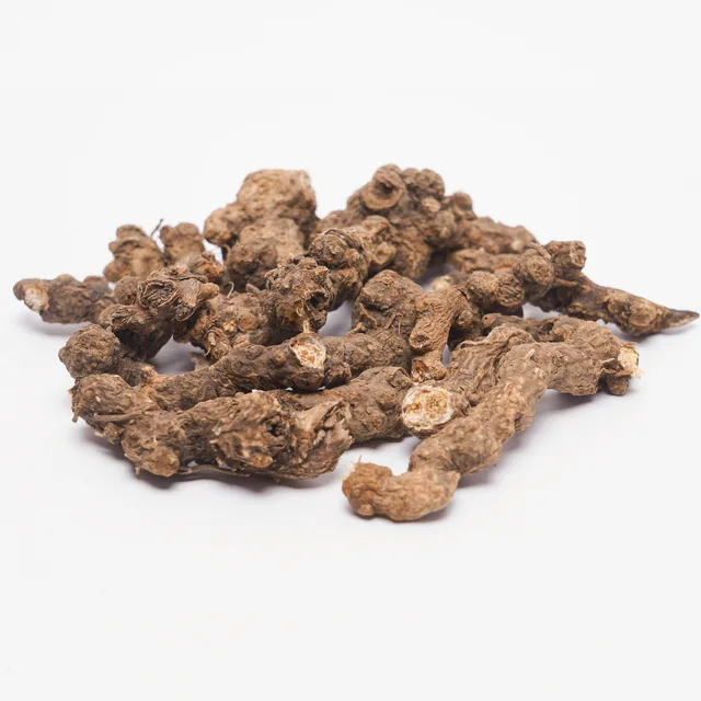 Rhizoma Atractylodis