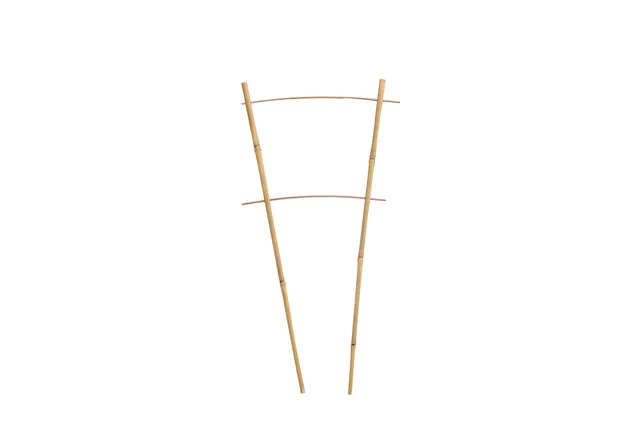 Bamboo Ladder