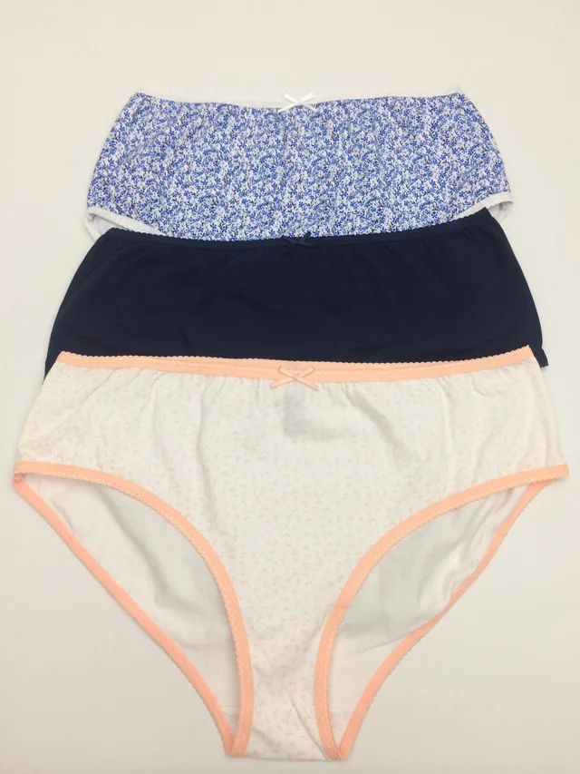 Ladies brief plus size