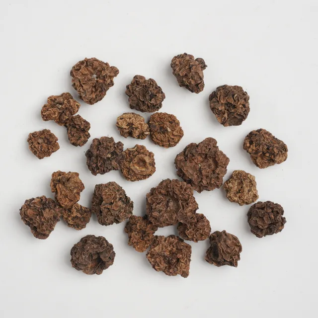 Actinidia polygama Seeds