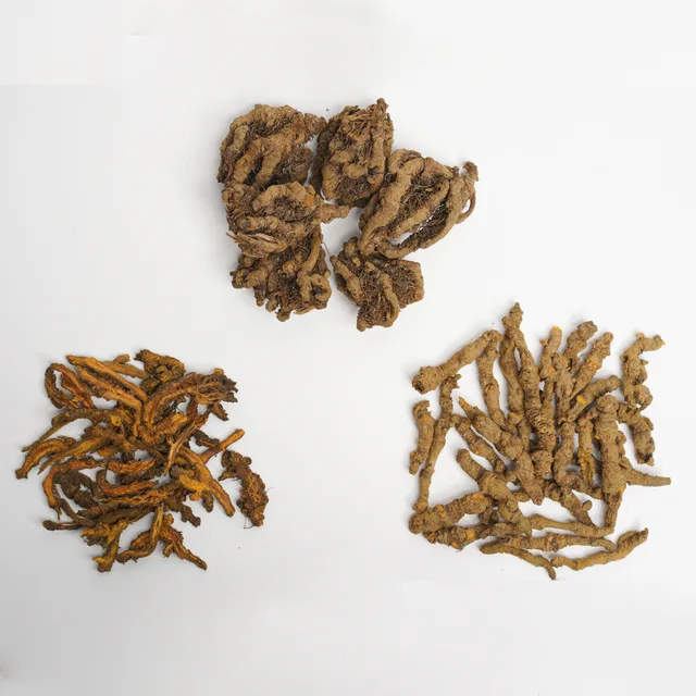Rhizoma Coptidis