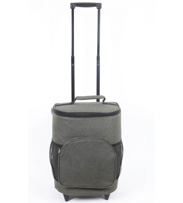 Trolley cooler bag