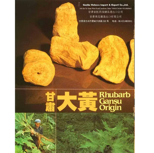 Rhubarb;Rhizoma Phei