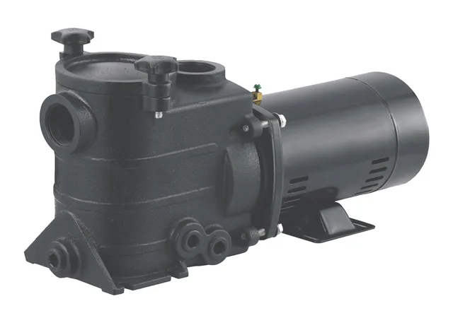 Cast Iron Pool And Spa Pumps