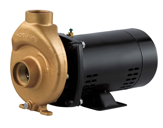 Bronze Pool And Spa Pumps