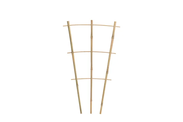 Bamboo Ladder