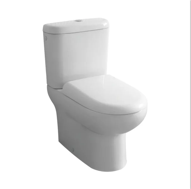 Washdown two piece toilet