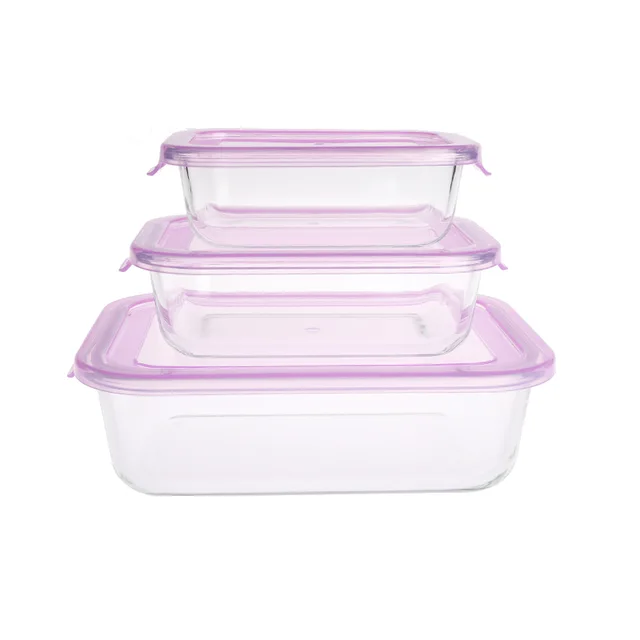 Borosilicate glass food container