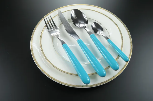 Stainless Steel Cutlery Set with Plastic Handle