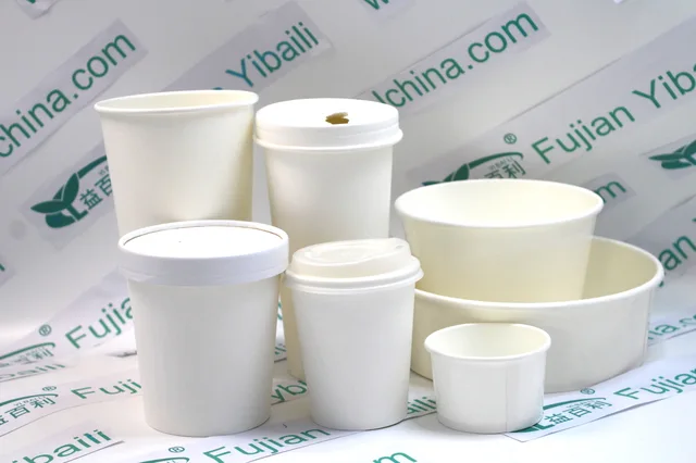 Bagasse Paper