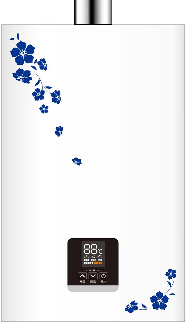 Gas water heater