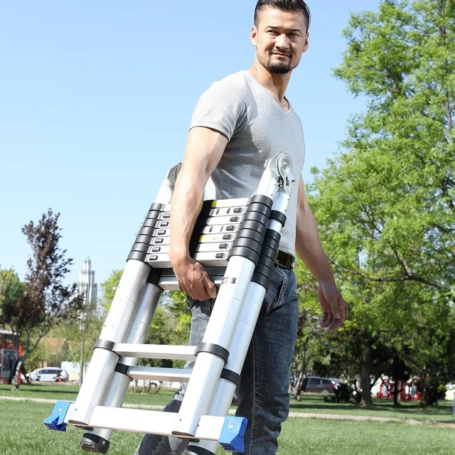 Telescopic Ladder