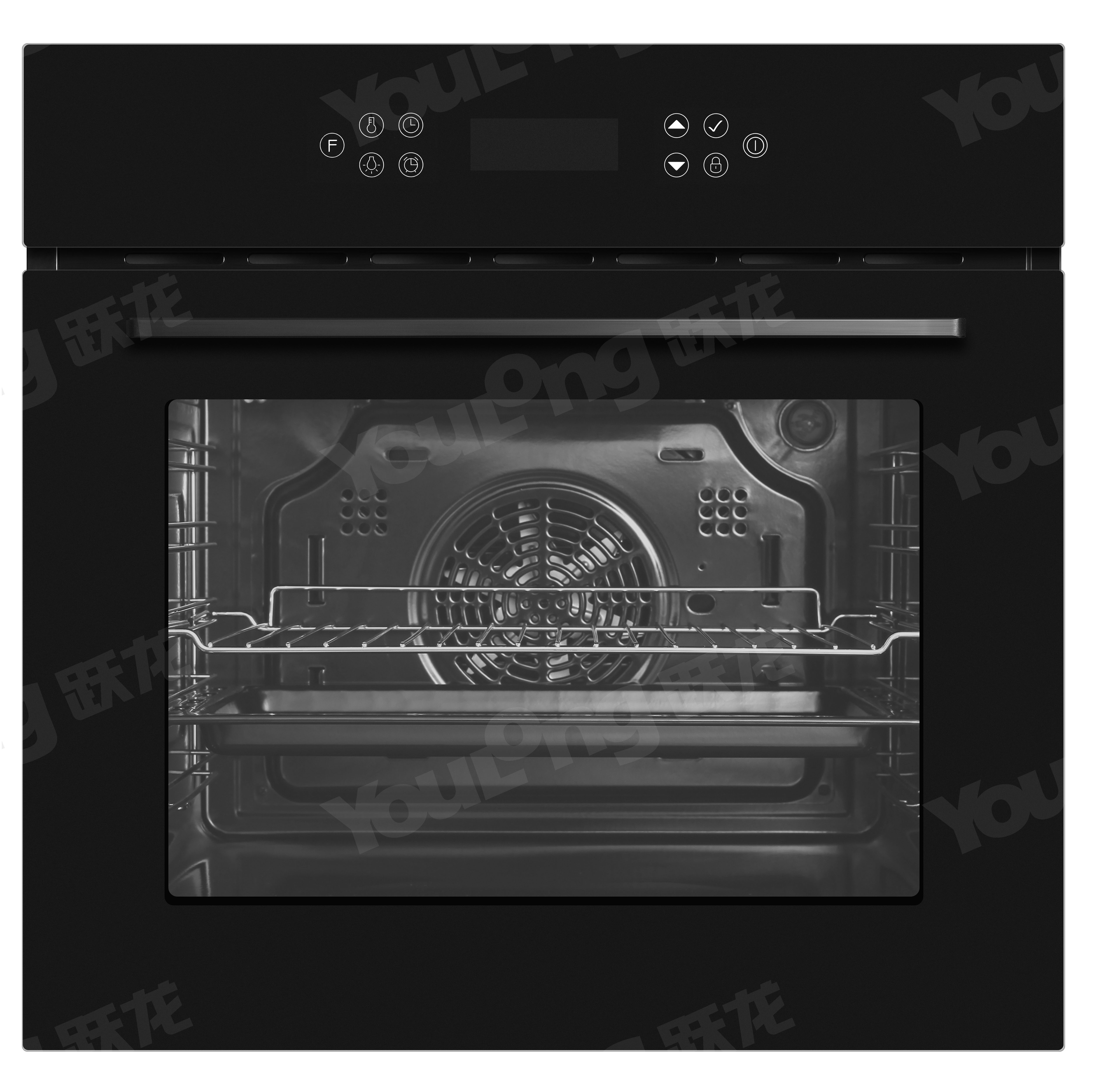 Built in Oven