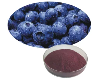 Bilberry protein powder