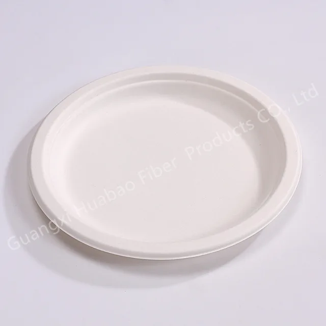 Biodegradable and Compostable Sugarcane Pulp 10 Inch Plate