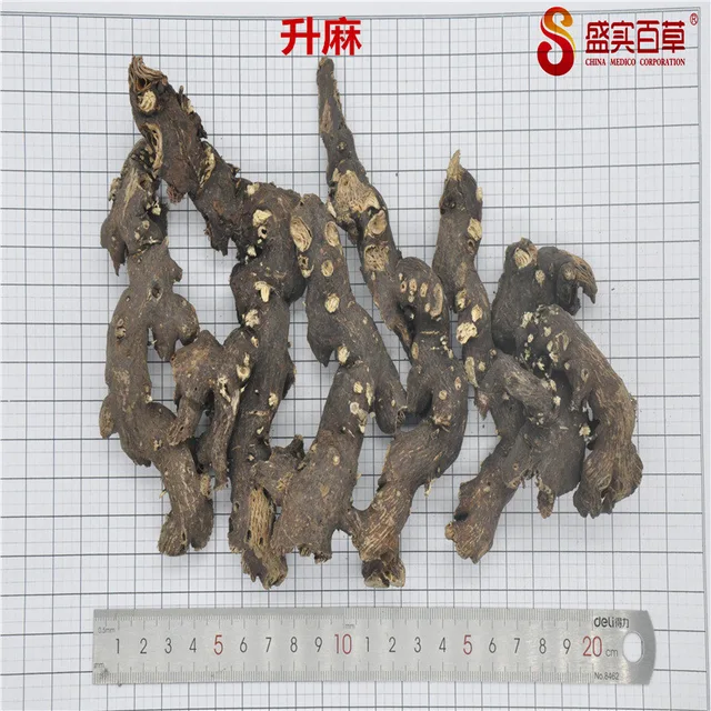 Rhizoma cimicifugae
