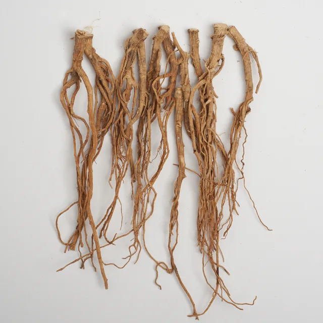 Radix Bupleuri