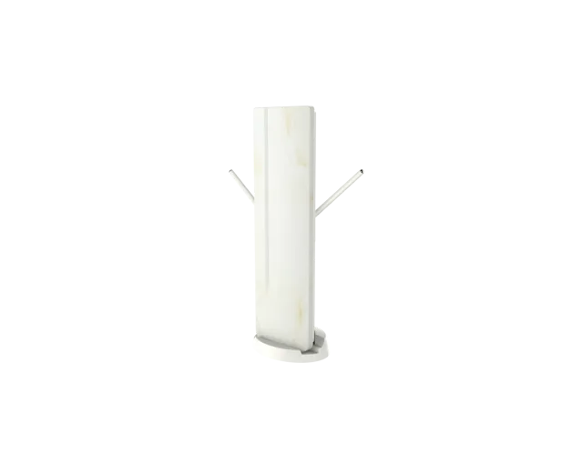 Multi-directional reception antenna