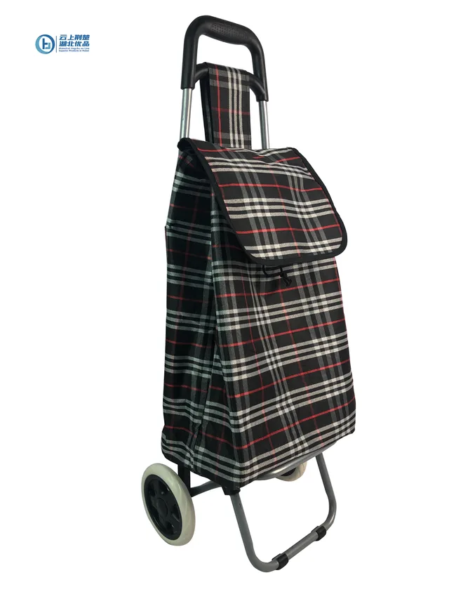 Trolley bag