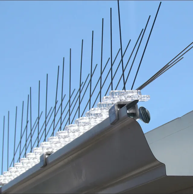 Bird Spikes